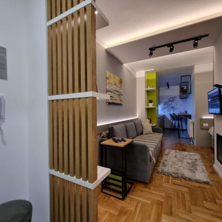 Studio Apartman Golden Lux 1 - Apartman sa 1 Spavaćom Sobom - 9