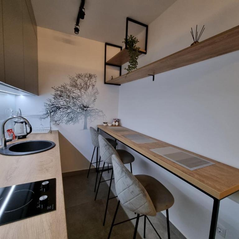 Studio Apartman Golden Lux 1 - Apartman sa 1 Spavaćom Sobom - 16