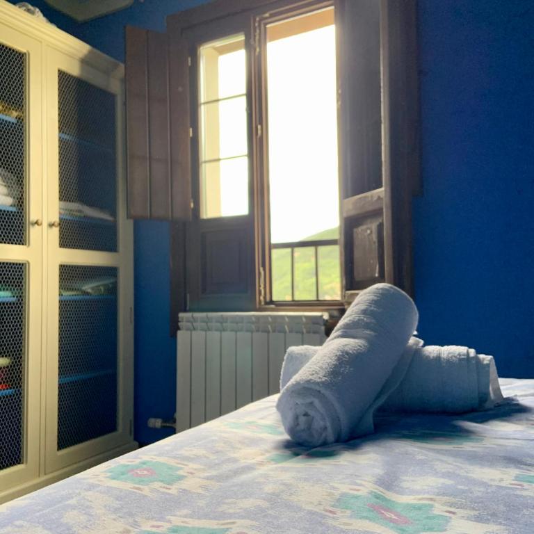 Badaguás (Jaca) - Duplex en el Pirineo - Appartement 3 Chambres - 19