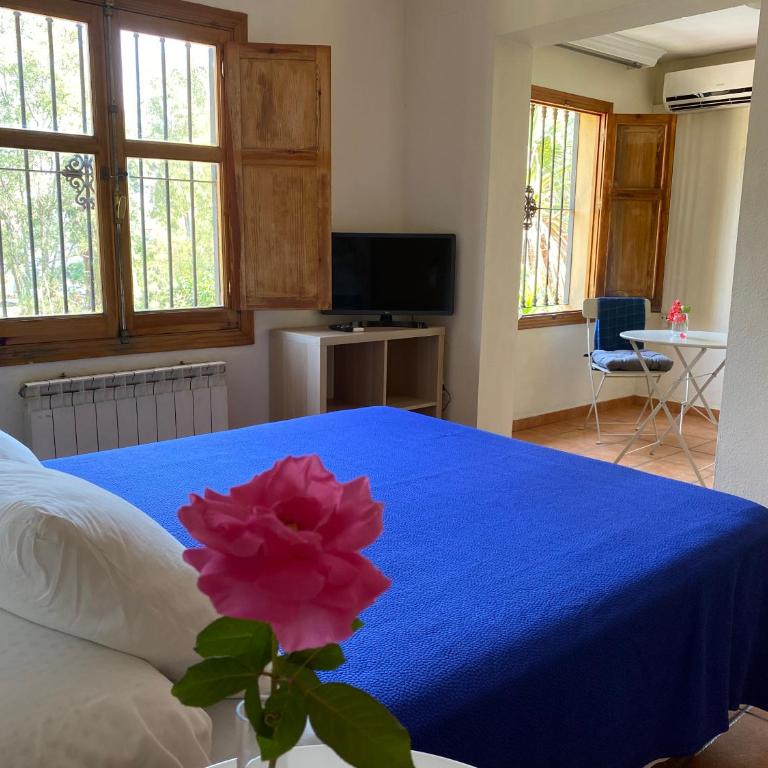 Hostal Moscatel - Superior King Room - 2