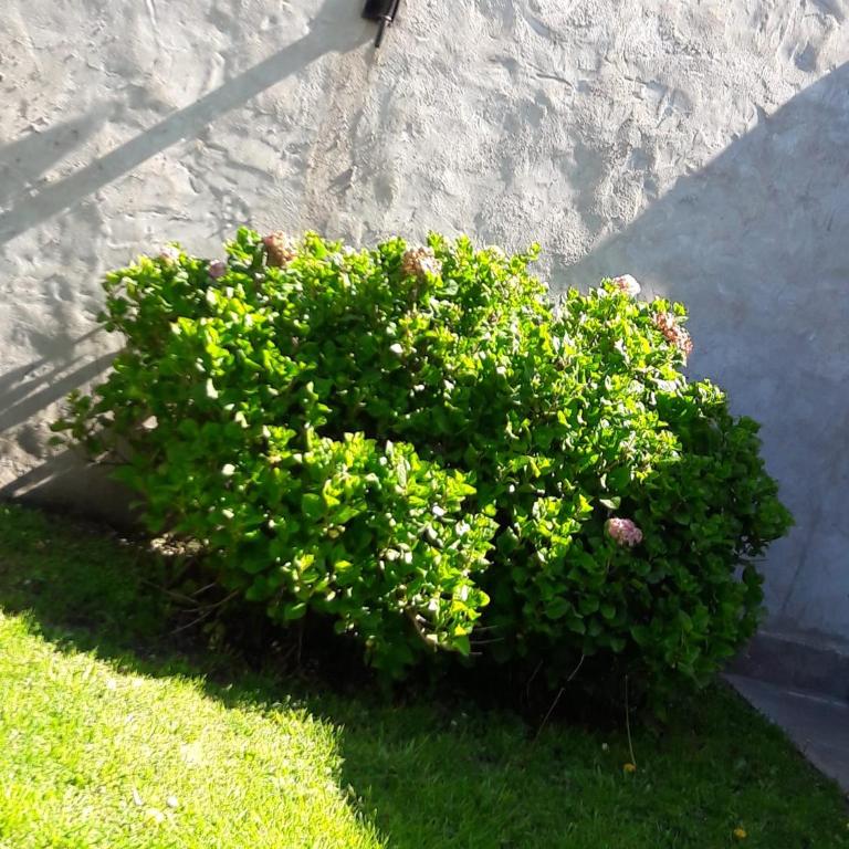 Alojamiento Moni - Apartamento con vistas al jardín - 30