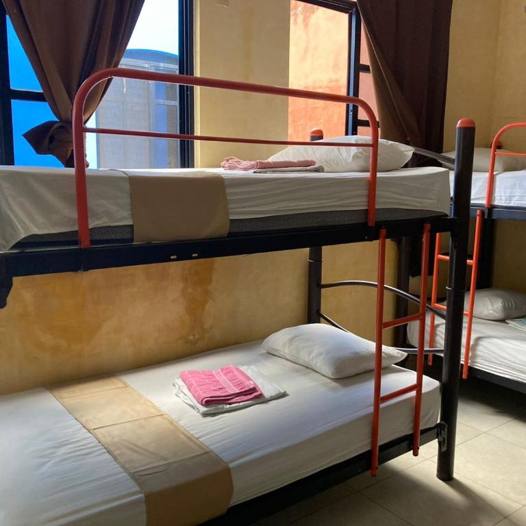 Hostal La Ermita - Cama en habitación compartida de 6 camas - 4