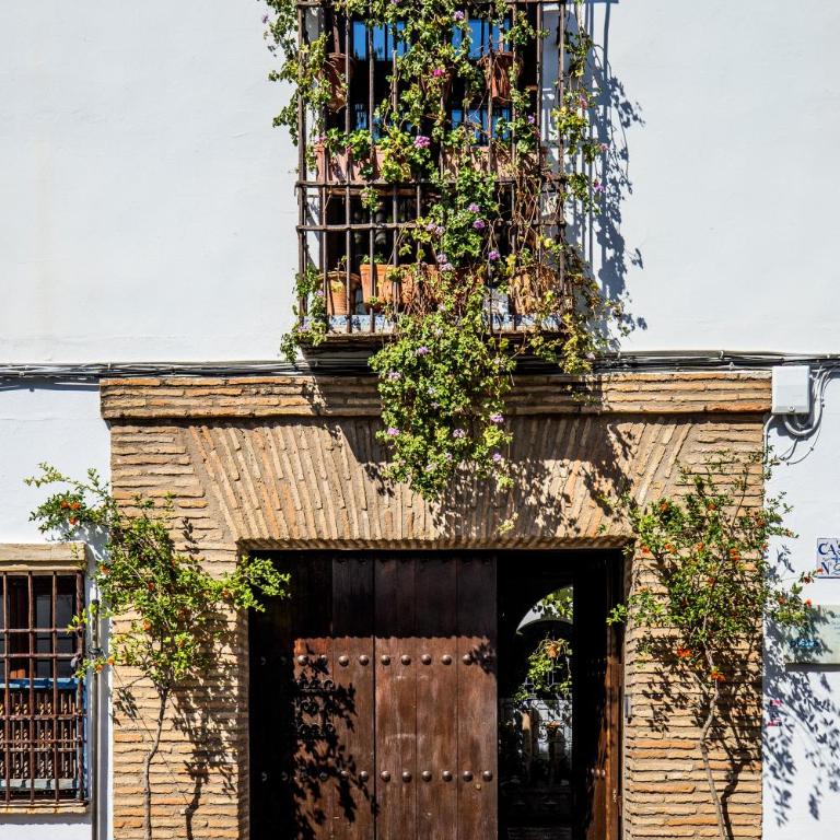 Apartamento con patio cordobés en San Basilio & Parking - Apartamento de 2 dormitorios - 31