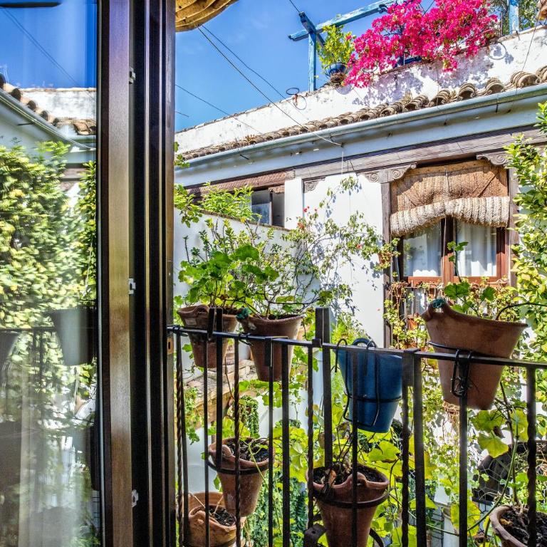 Apartamento con patio cordobés en San Basilio & Parking - Apartamento de 2 dormitorios - 15