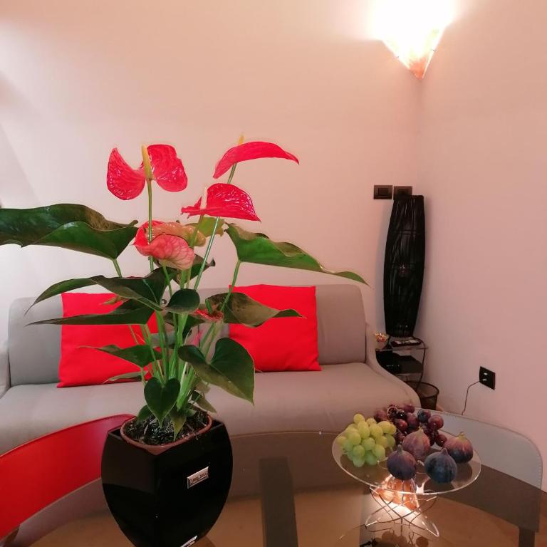 La perla nel pozzo - Appartamento con 1 Camera da Letto - 5