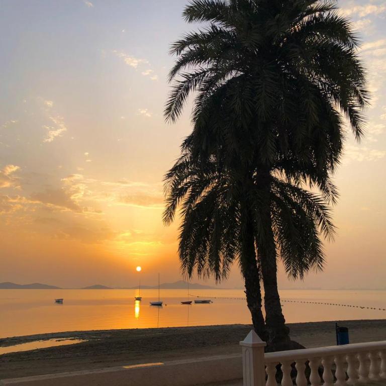 Apartamento Mar Menor - Beachfront apartment with large patio - Licence No VVMU2814-1 - Apartamento de 2 dormitorios - 6