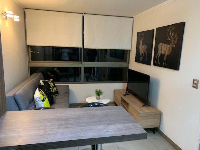 Acogedor Departamento Santiago - One-Bedroom Apartment - 8