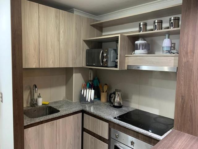 Acogedor Departamento Santiago - One-Bedroom Apartment - 17