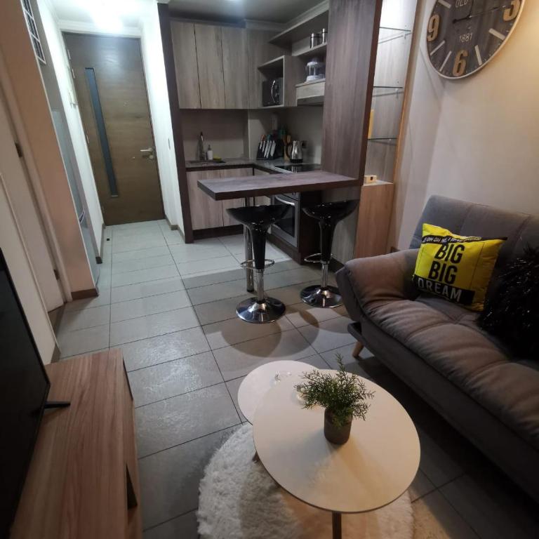 Acogedor Departamento Santiago - One-Bedroom Apartment - 7