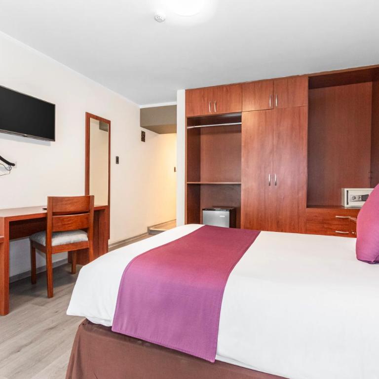 Hotel Andesmar - Habitación Estándar - 1 cama grande - 3