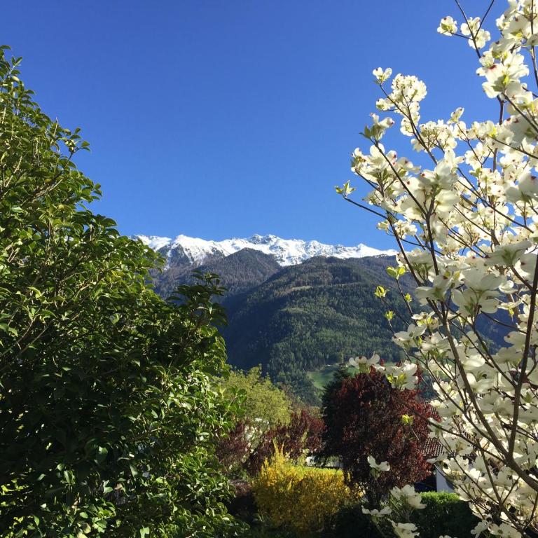 Haus Schweitzer - Naturns - Appartamento con Vista Montagna - 4