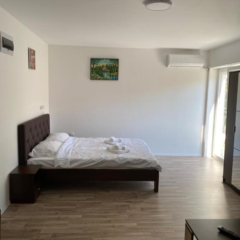 Studio Milica - Apartman sa 1 Spavaćom Sobom - 3