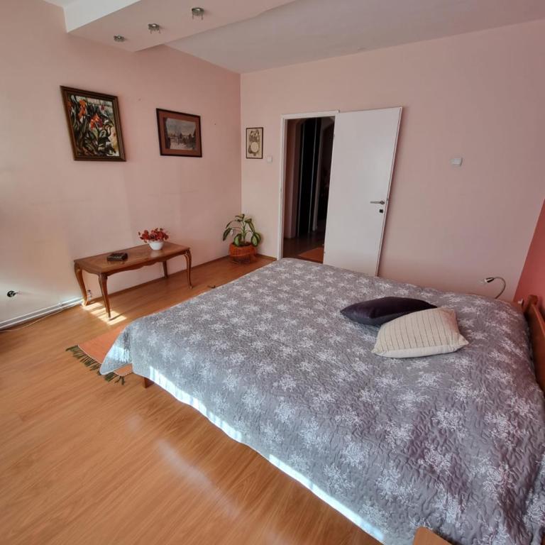 Large, Spacious Apartment Voždovac - Apartman sa 2 Spavaće Sobe - 5
