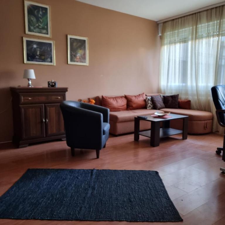 Large, Spacious Apartment Voždovac - Apartman sa 2 Spavaće Sobe - 1