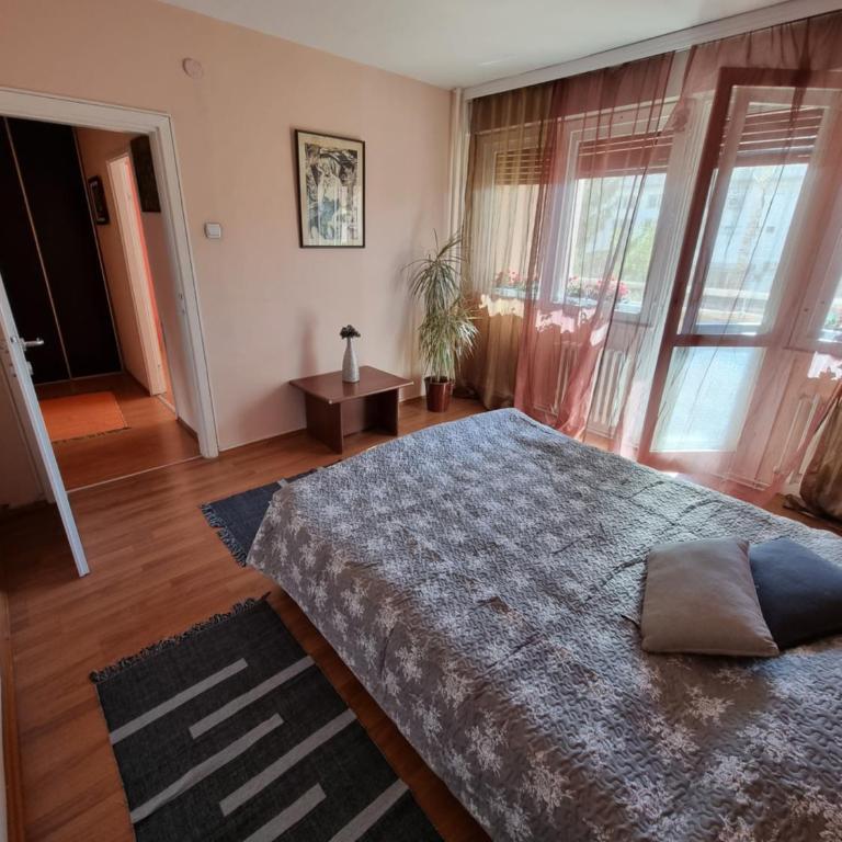 Large, Spacious Apartment Voždovac - Apartman sa 2 Spavaće Sobe - 11