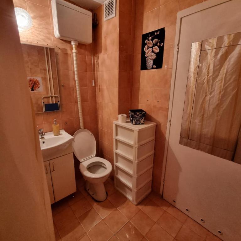 Large, Spacious Apartment Voždovac - Apartman sa 2 Spavaće Sobe - 16