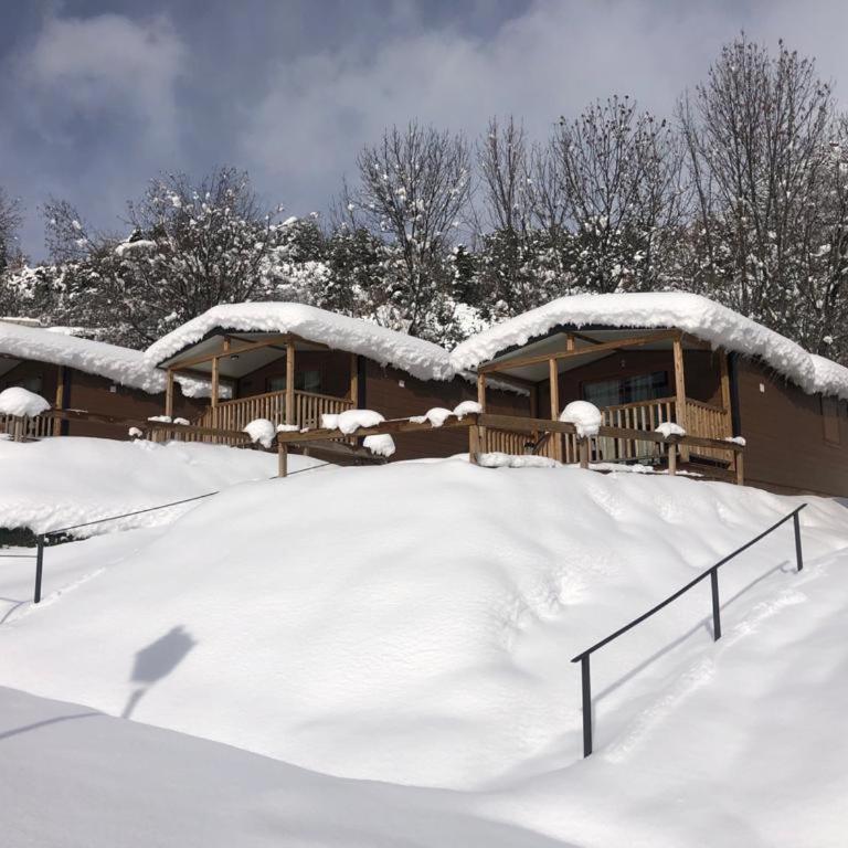 Panticosa Lodge - Bungalow de 2 dormitorios - 2