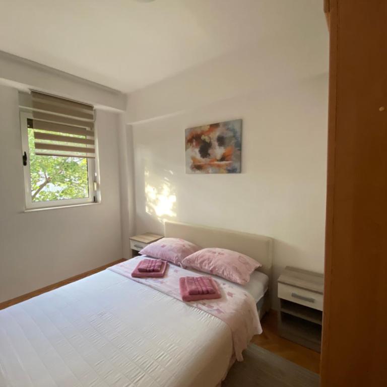 Apartman Hladovina - Apartman - 10