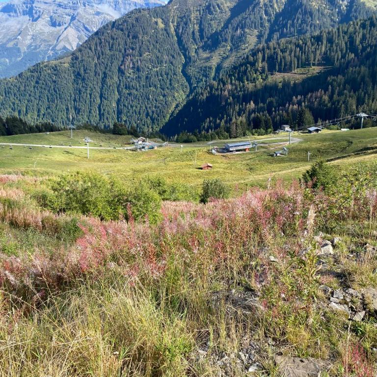 Samoëns 1600 les cimes - Apartment mit 1 Schlafzimmer - 24