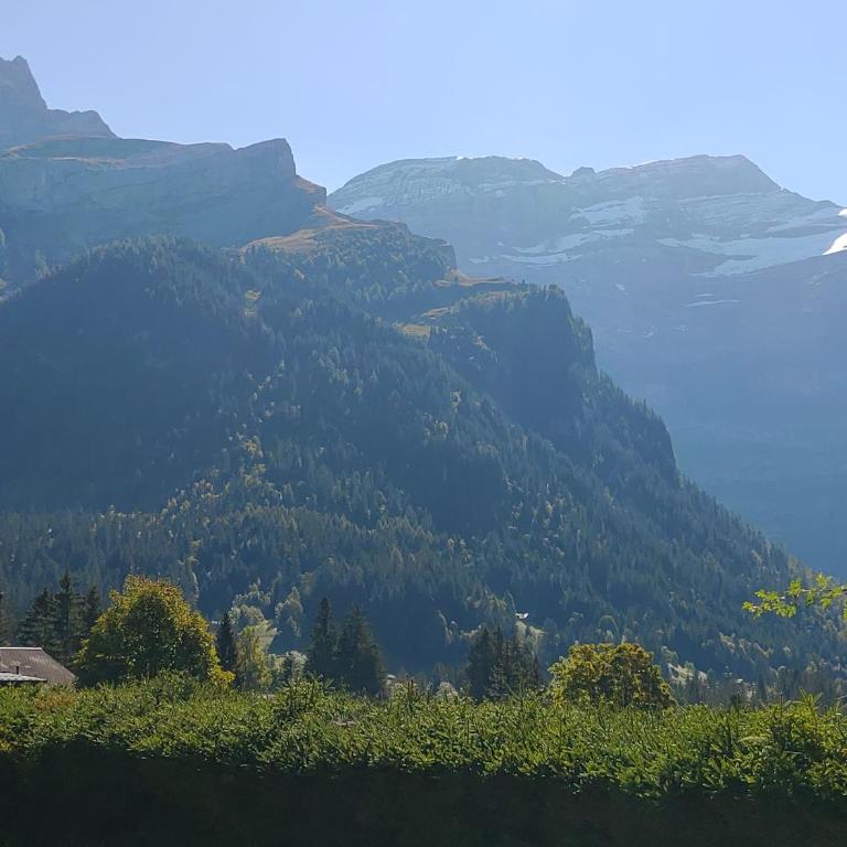 Studio avec vue splendide sur les Diablerets - Apartment mit 1 Schlafzimmer - 40
