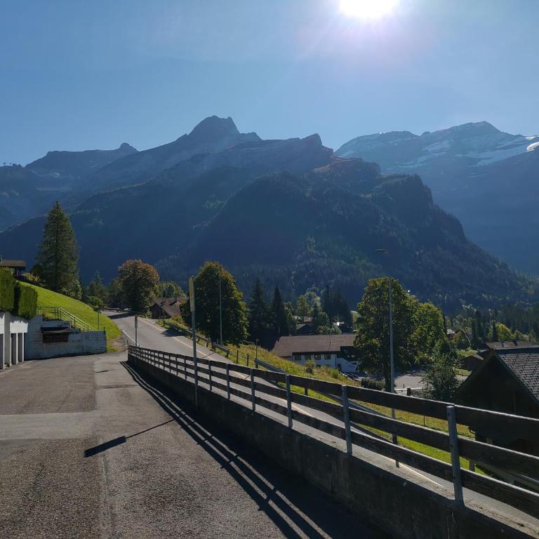 Studio avec vue splendide sur les Diablerets - Apartment mit 1 Schlafzimmer - 51