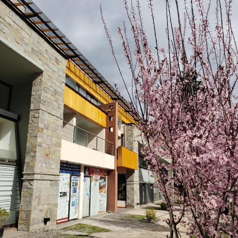 Departamento Curruhuinca - Deptosxlosandes - Apartamento de 1 dormitorio - 26