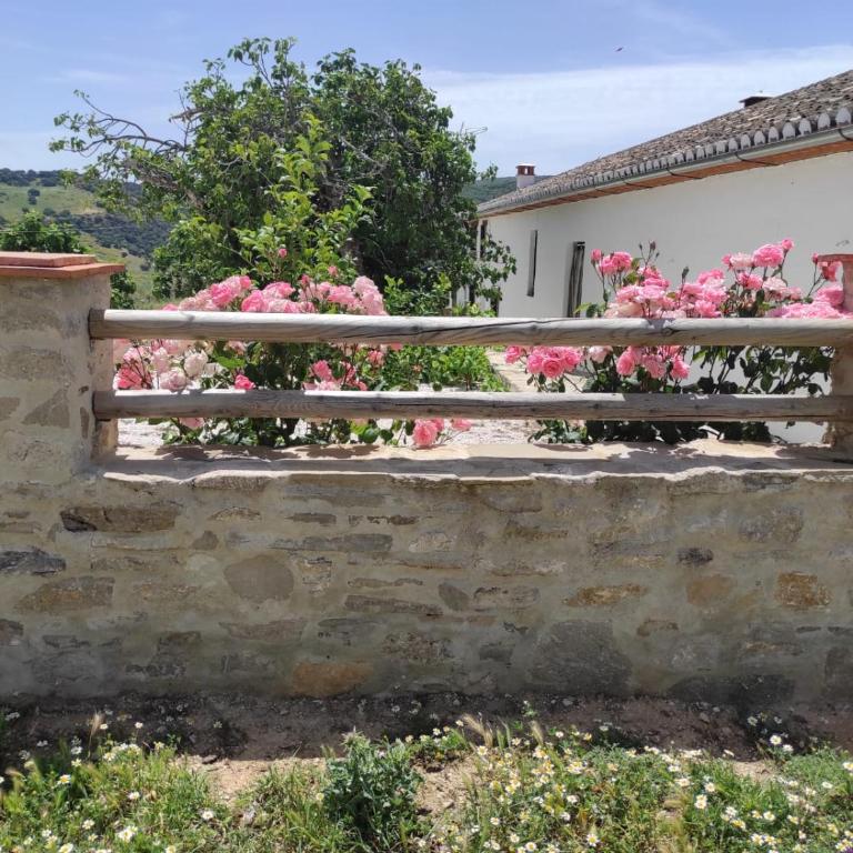 cortijo la laguna - Chalet de 3 dormitorios - 10