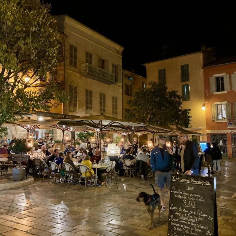 Charming Apartment in the heart of Valbonne Village - Appartement 1 Chambre - 40