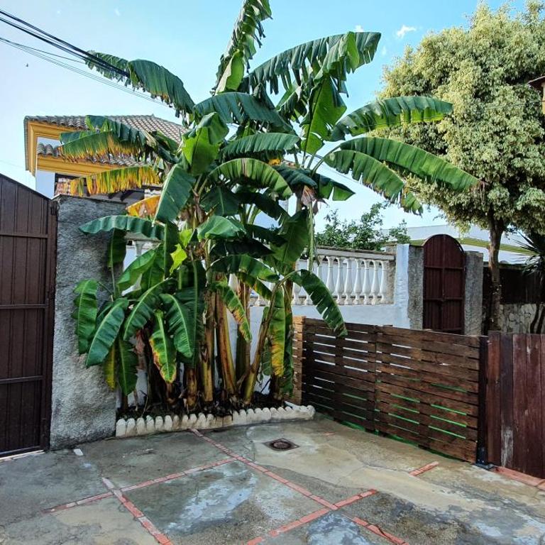 GirasolesV - Casa de 2 dormitorios - 20