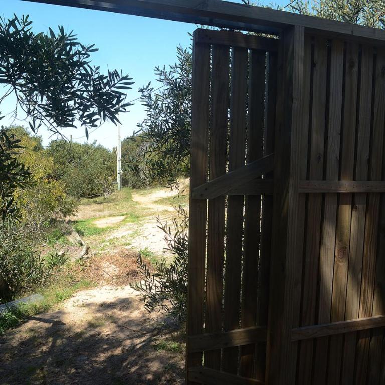 La del Pino - One-Bedroom Apartment - 12
