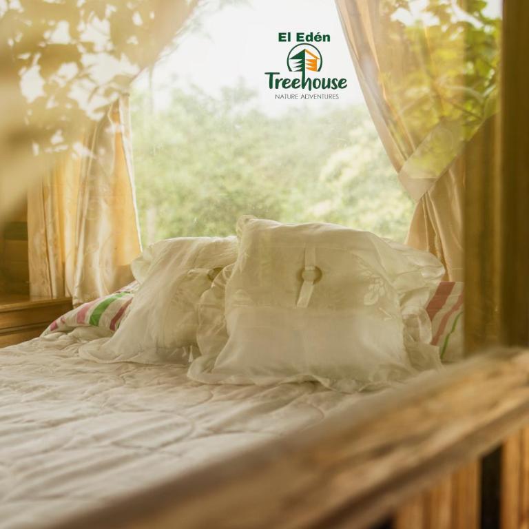 Eden Treehouse - Suite - 5