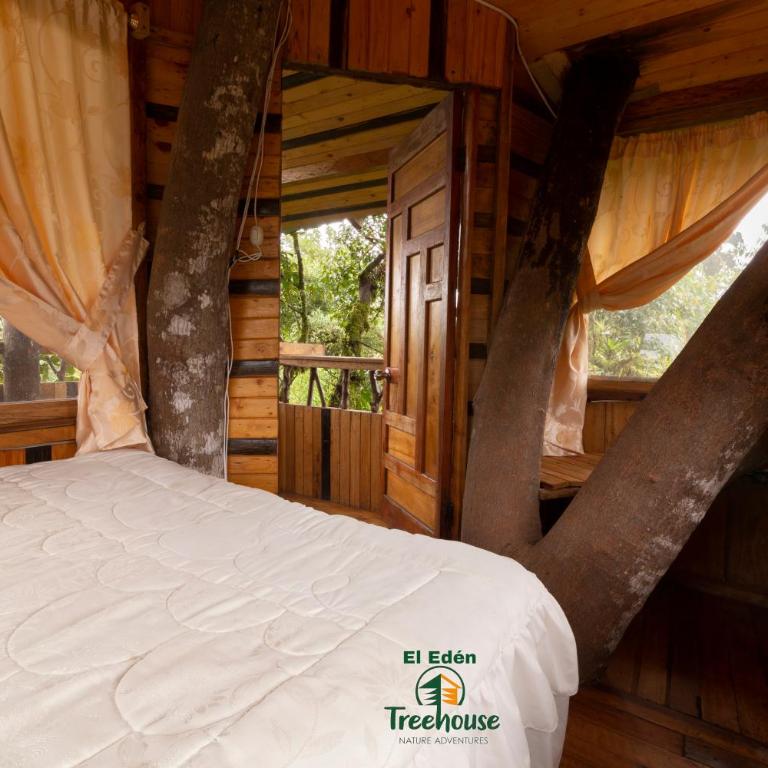 Eden Treehouse - Suite - 2