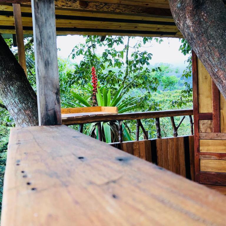 Eden Treehouse - Suite - 1