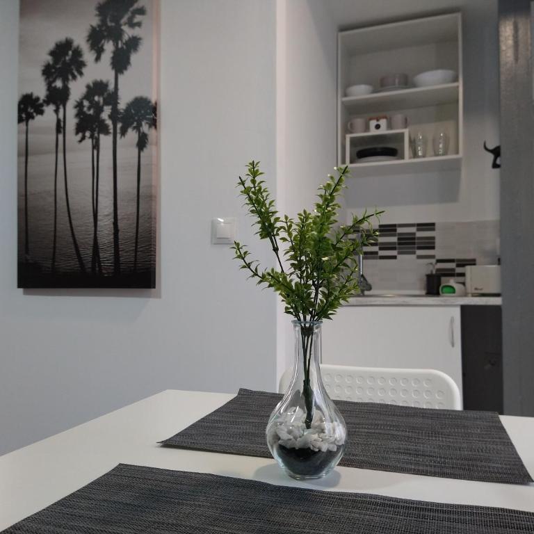 Central Estudio Torremolinos - Estudio 2 - Apartamento de 1 dormitorio - 10