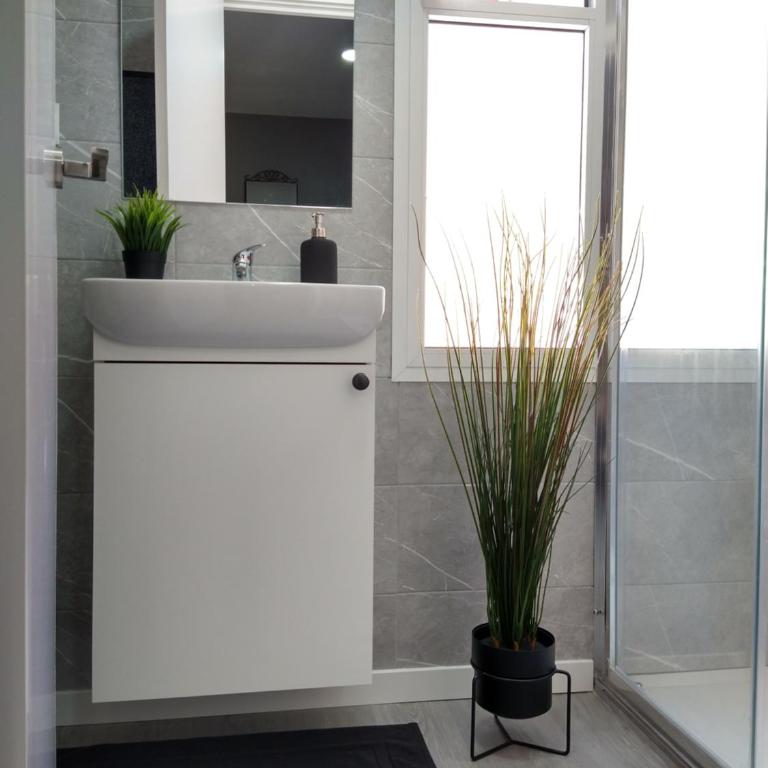 Central Estudio Torremolinos - Estudio 2 - Apartamento de 1 dormitorio - 22