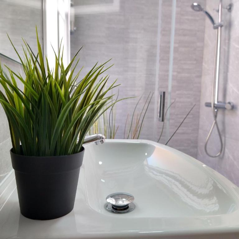 Central Estudio Torremolinos - Estudio 2 - Apartamento de 1 dormitorio - 24
