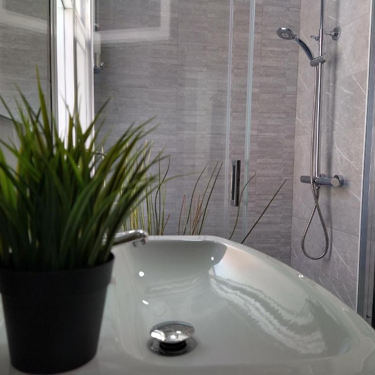 Central Estudio Torremolinos - Estudio 2 - Apartamento de 1 dormitorio - 25