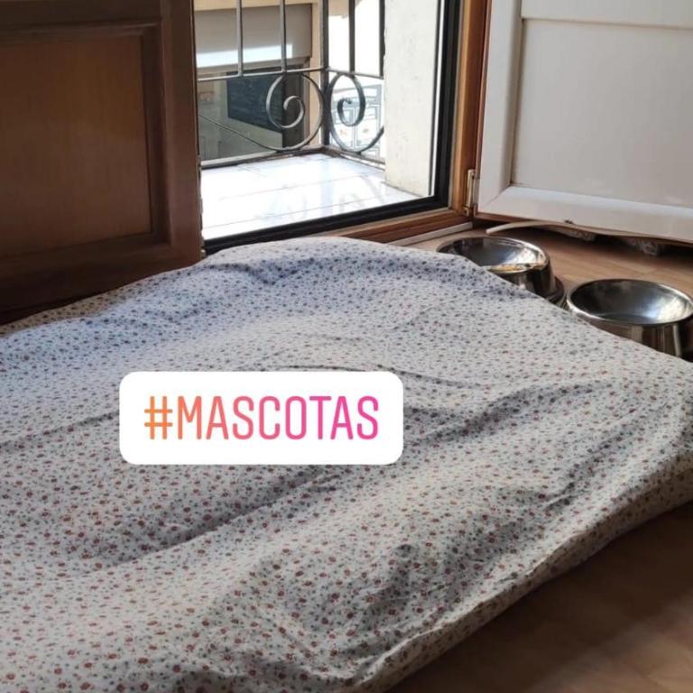 Los Balcones de Laurel - Apartamento de 1 dormitorio - 11