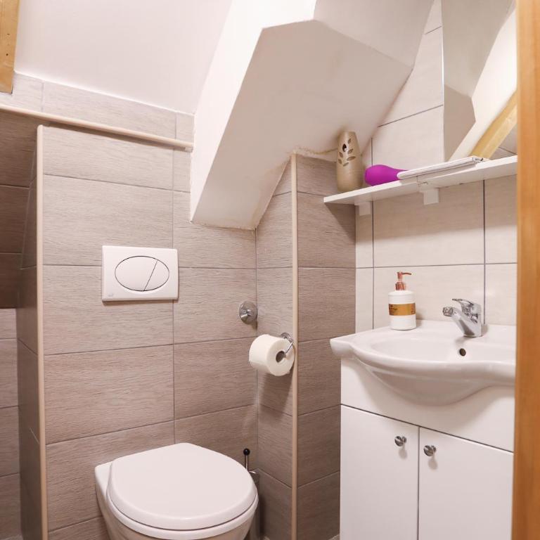 Apartments Sport House Novakovic - Apartment - 9
