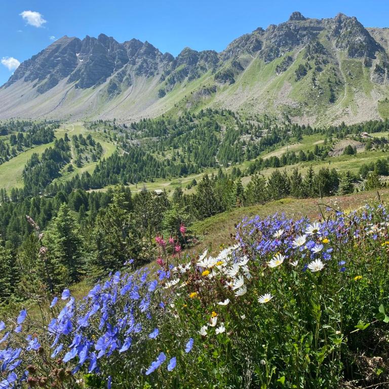 Studio 4 pers à 100m des pistes- Vars les claux - Studio mit Bergblick - 20