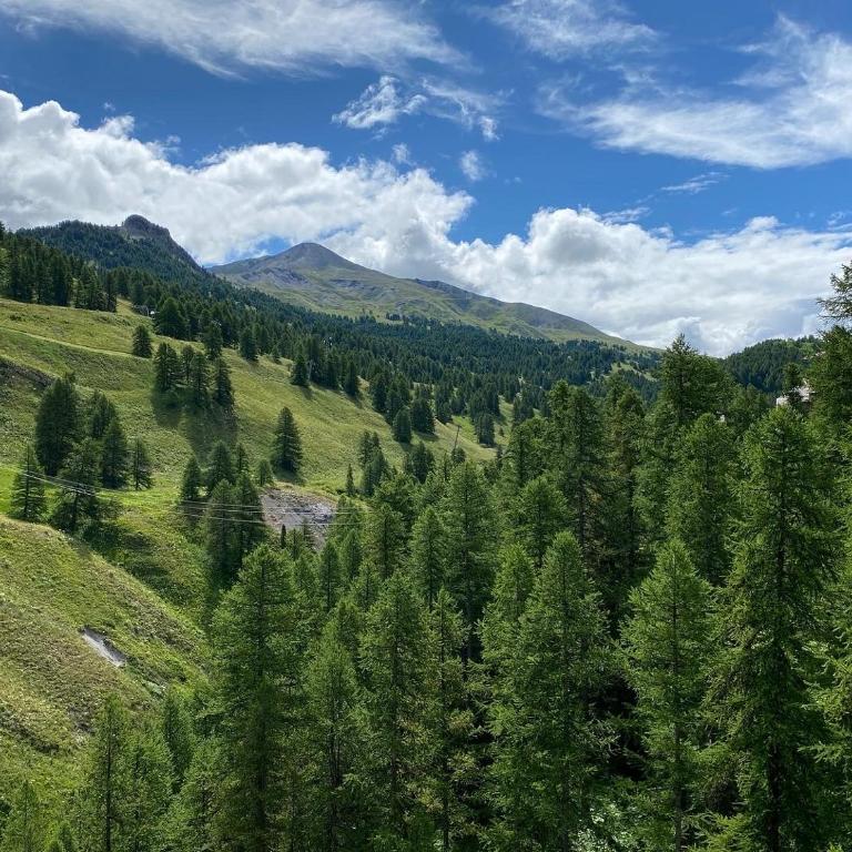 Studio 4 pers à 100m des pistes- Vars les claux - Studio mit Bergblick - 17