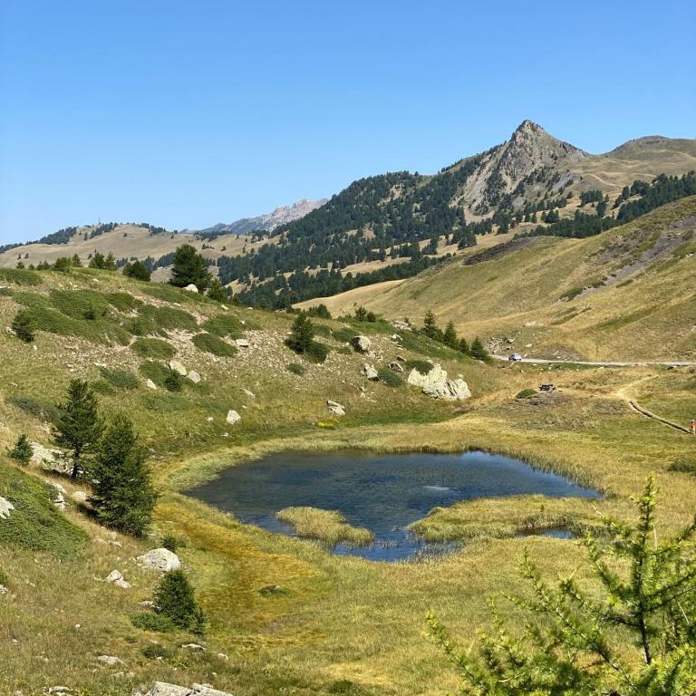 Studio 4 pers à 100m des pistes- Vars les claux - Studio mit Bergblick - 28
