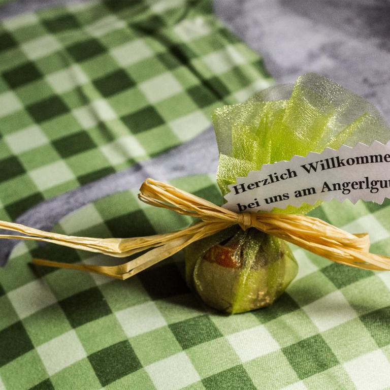Ferienwohnung Angerlgut - Appartement - Rez-de-Chaussée - 1