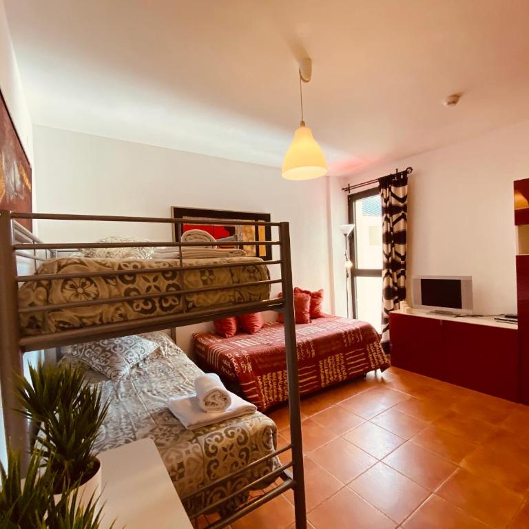 Apartamentos Bluettravel Snow Confort Monte Gorbea - Estudio - 1