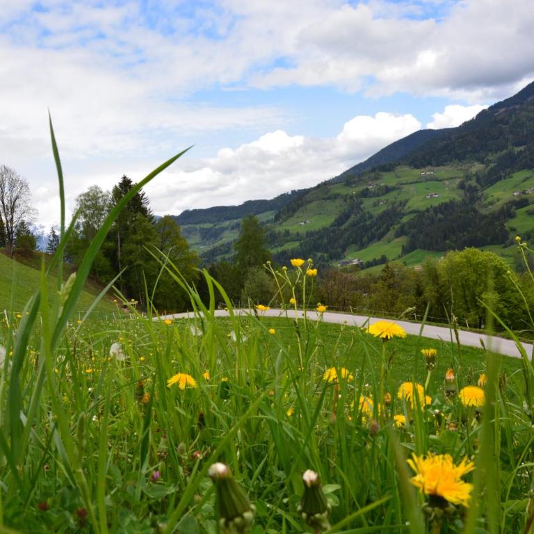 Niederstallnhof - Appartamento con Vista Montagna - 3