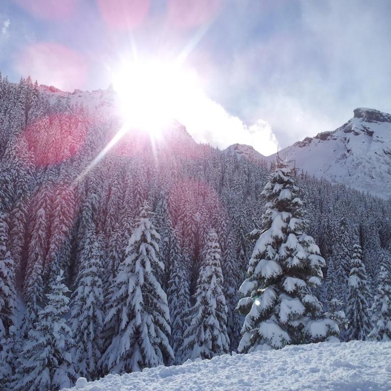 Chalet Belvedere - Appartamento con 3 Camere da Letto - 16