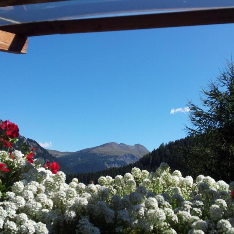 Chalet Belvedere - Appartamento con 3 Camere da Letto - 7