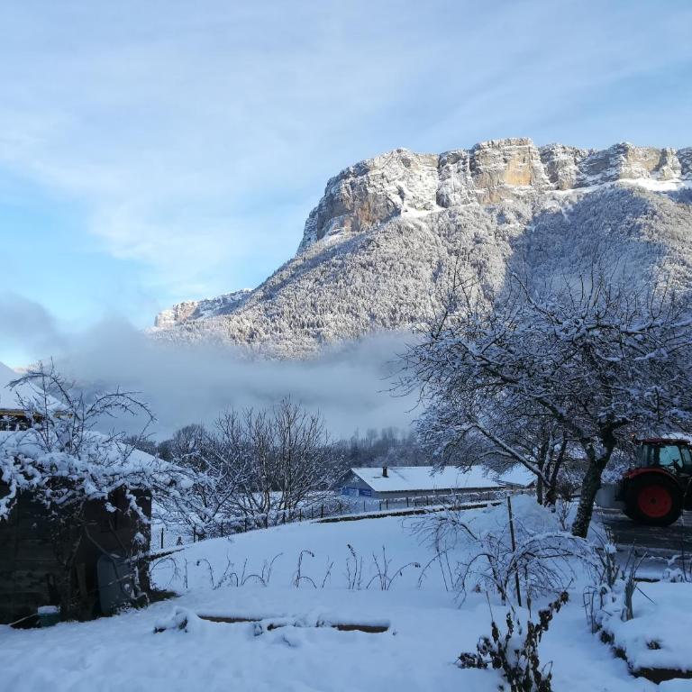 Le Gîte de la Maison Soleil, entre lac et montagne - Appartement - 16