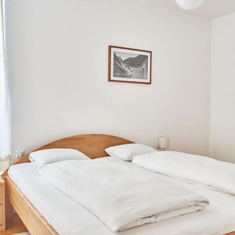 Mountain View Ski Apartment Rauris - Apartment - 21