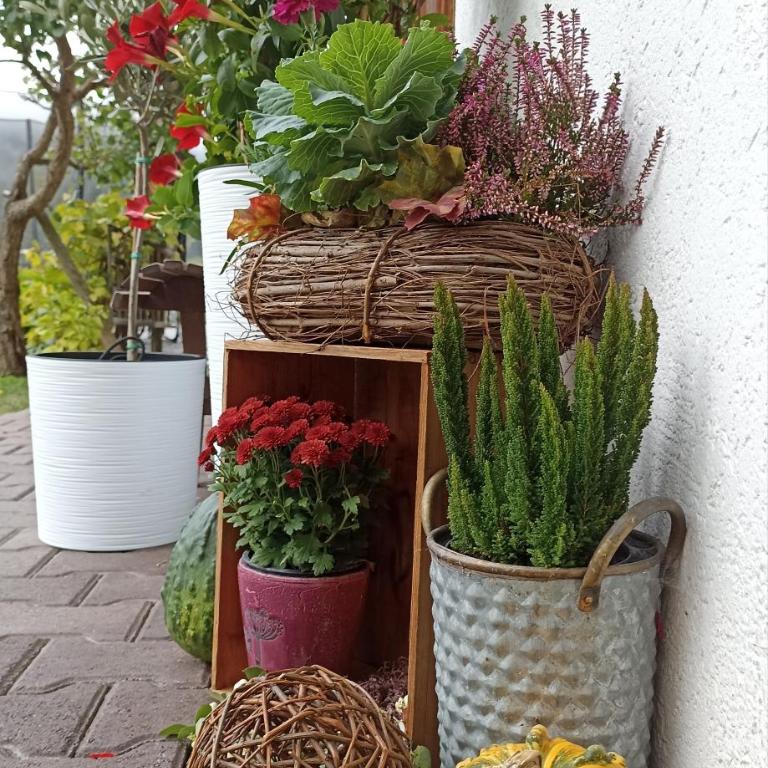 Ferienwohnung Stubenböck - Apartment mit 2 Schlafzimmern - 4